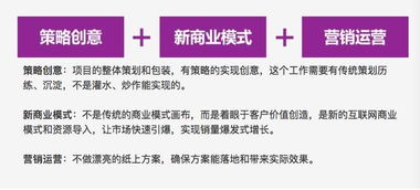 從零到一 互聯網軟件開發的快速崛起之路
